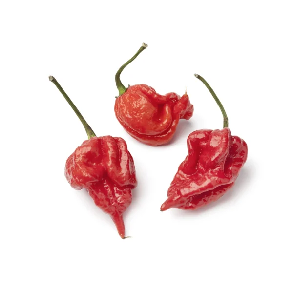 Sadike Druzovič čili Trinidad Scorpion